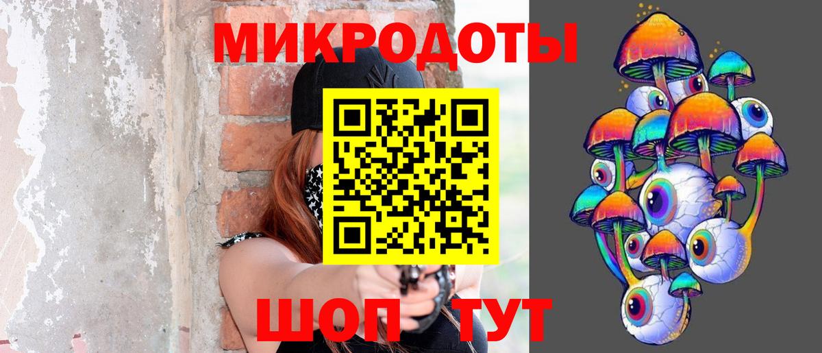 Псилоцибиновые грибы Psilocybe Славянск-на-Кубани