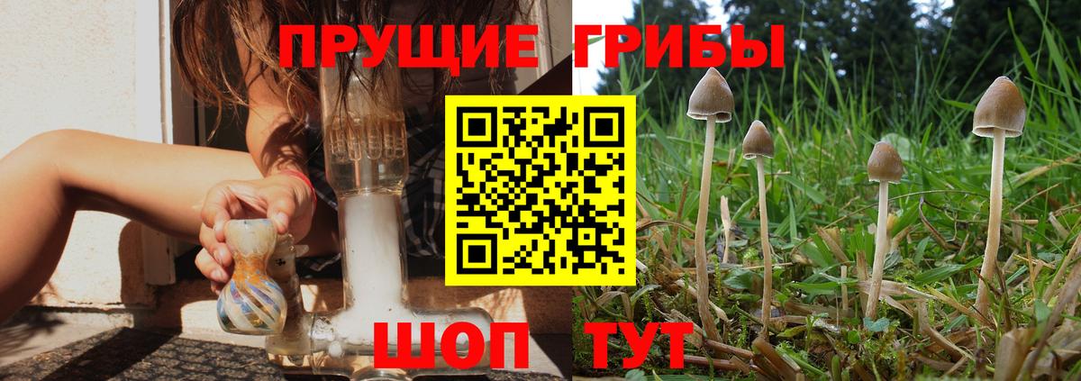 Псилоцибиновые грибы Magic Shrooms  Вход с VPN  Славянск-на-Кубани 